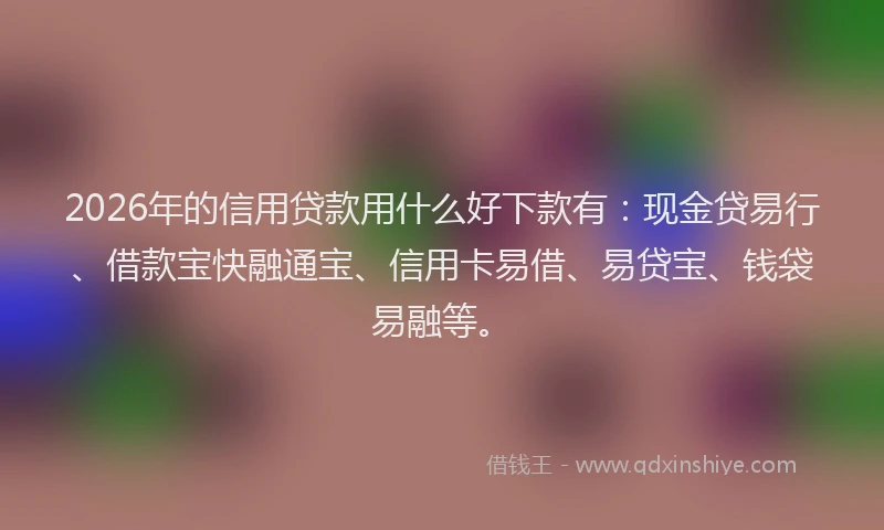 2026年的信用贷款用什么好下款有：现金贷易行、借款宝快融通宝、信用卡易借、易贷宝、钱袋易融等。