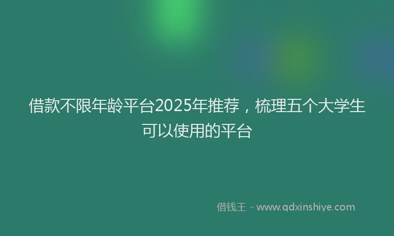 借款不限年龄平台2025年推荐，梳理五个大学生可以使用的平台
