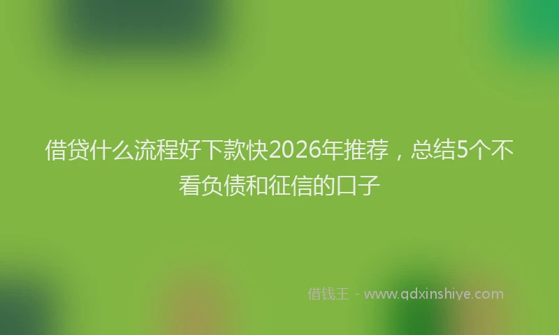 借贷什么流程好下款快2026年推荐，总结5个不看负债和征信的口子