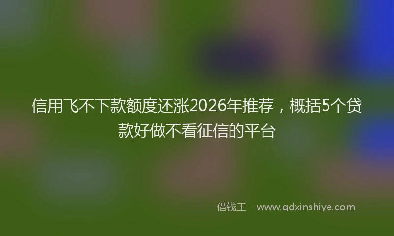 信用飞不下款额度还涨2026年推荐，概括5个贷款好做不看征信的平台
