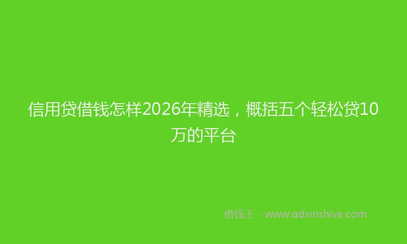 信用贷借钱怎样2026年精选，概括五个轻松贷10万的平台