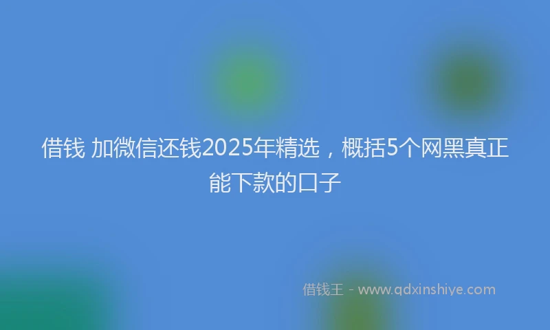 借钱 加微信还钱2025年精选,概括5个网黑真正能下款的口子