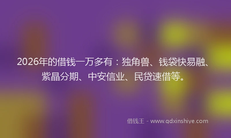2026年的借钱一万多有：独角兽、钱袋快易融、紫晶分期、中安信业、民贷速借等。