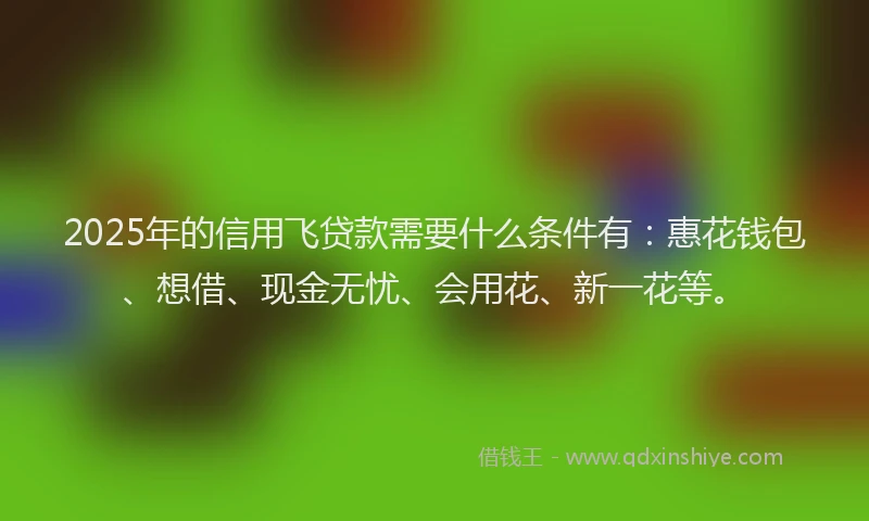 2025年的信用飞贷款需要什么条件有：惠花钱包、想借、现金无忧、会用花、新一花等。