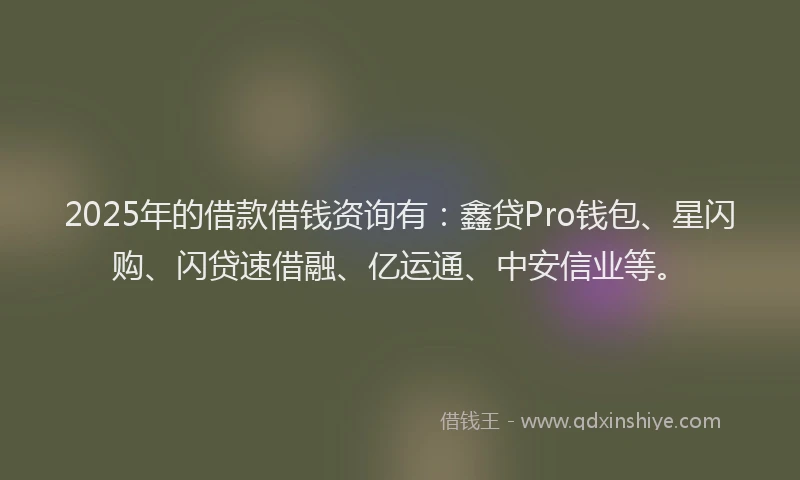 2025年的借款借钱资询有：鑫贷Pro钱包、星闪购、闪贷速借融、亿运通、中安信业等。