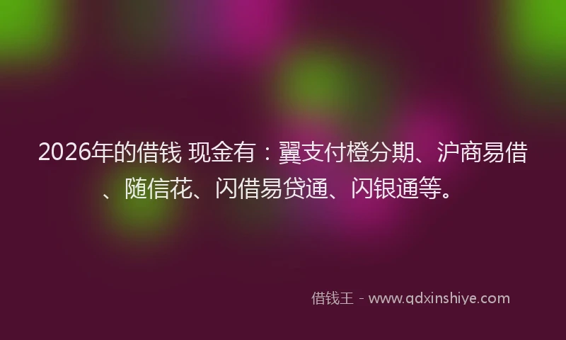 2026年的借钱 现金有：翼支付橙分期、沪商易借、随信花、闪借易贷通、闪银通等。