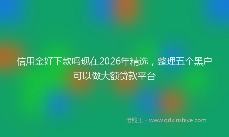 信用金好下款吗现在2026年精选，整理五个黑户可以做大额贷款平台
