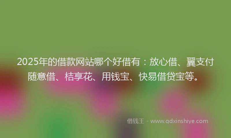 2025年的借款网站哪个好借有：放心借、翼支付随意借、桔享花、用钱宝、快易借贷宝等。