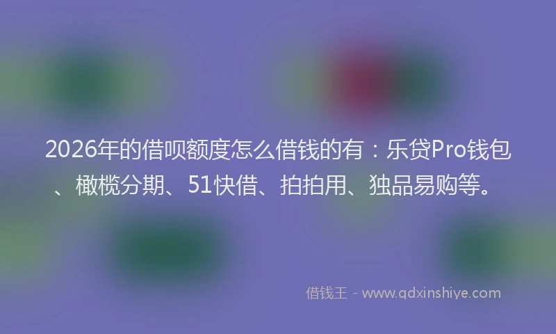 2026年的借呗额度怎么借钱的有：乐贷Pro钱包、橄榄分期、51快借、拍拍用、独品易购等。