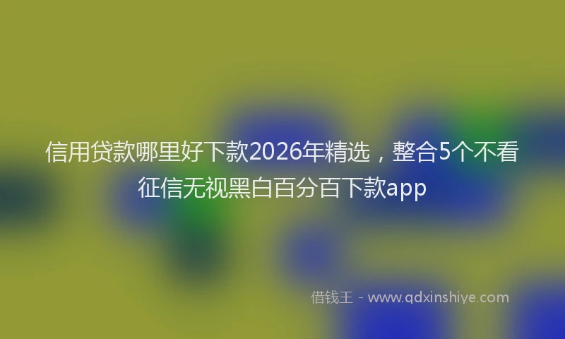 信用贷款哪里好下款2026年精选，整合5个不看征信无视黑白百分百下款app