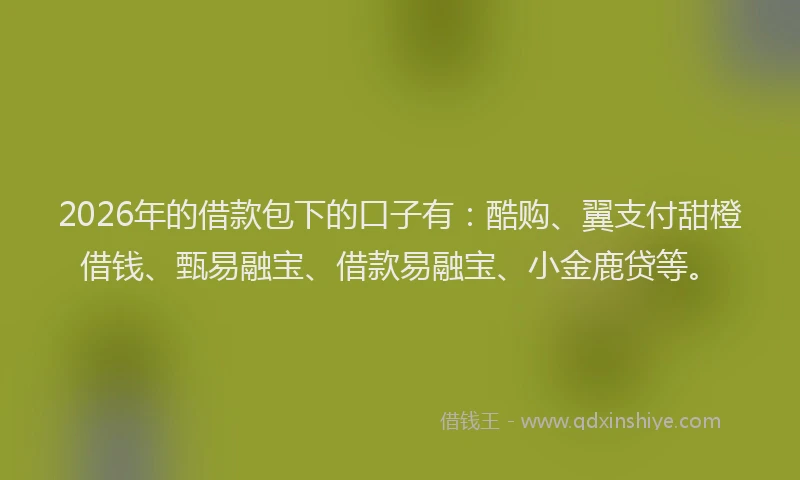 2026年的借款包下的口子有：酷购、翼支付甜橙借钱、甄易融宝、借款易融宝、小金鹿贷等。