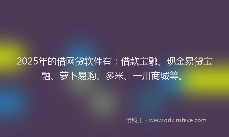 2025年的借网贷软件有：借款宝融、现金易贷宝融、萝卜易购、多米、一川商城等。