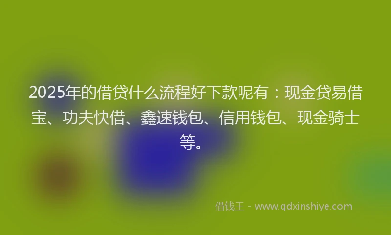 2025年的借贷什么流程好下款呢有：现金贷易借宝、功夫快借、鑫速钱包、信用钱包、现金骑士等。