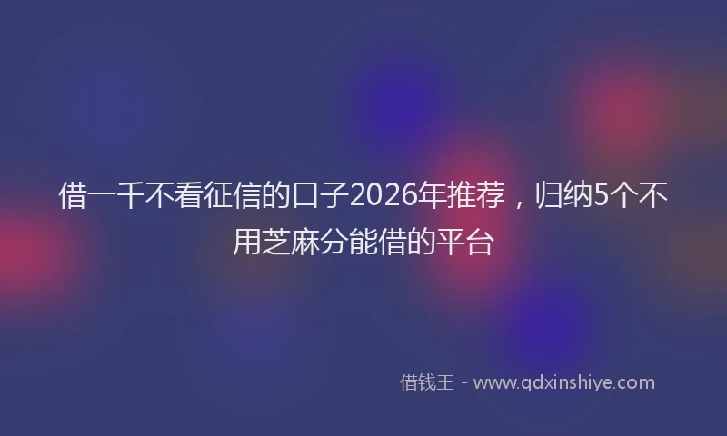 借一千不看征信的口子2026年推荐，归纳5个不用芝麻分能借的平台