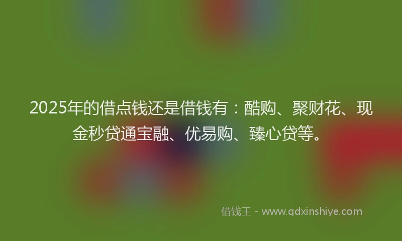 2025年的借点钱还是借钱有：酷购、聚财花、现金秒贷通宝融、优易购、臻心贷等。