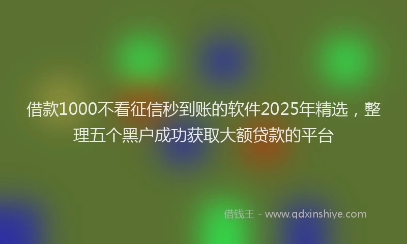 借款1000不看征信秒到账的软件2025年精选，整理五个黑户成功获取大额贷款的平台