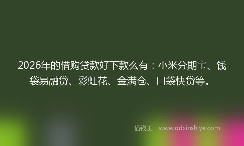 2026年的借购贷款好下款么有：小米分期宝、钱袋易融贷、彩虹花、金满仓、口袋快贷等。