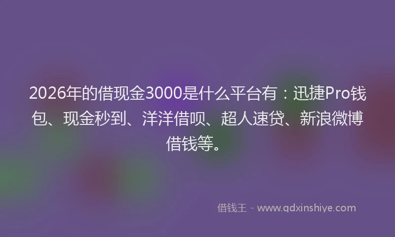2026年的借现金3000是什么平台有:迅捷Pro钱包、现金秒到、洋洋借呗、超人速贷、新浪微博借钱等。