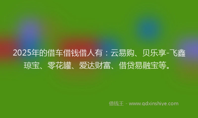 2025年的借车借钱借人有：云易购、贝乐享-飞鑫琼宝、零花罐、爱达财富、借贷易融宝等。