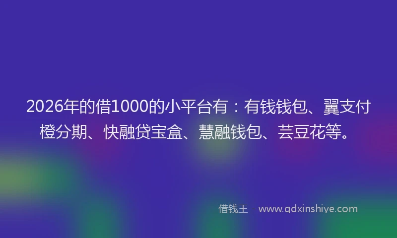 2026年的借1000的小平台有：有钱钱包、翼支付橙分期、快融贷宝盒、慧融钱包、芸豆花等。