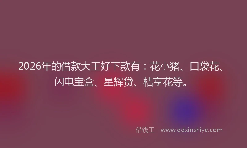 2026年的借款大王好下款有：花小猪、口袋花、闪电宝盒、星辉贷、桔享花等。