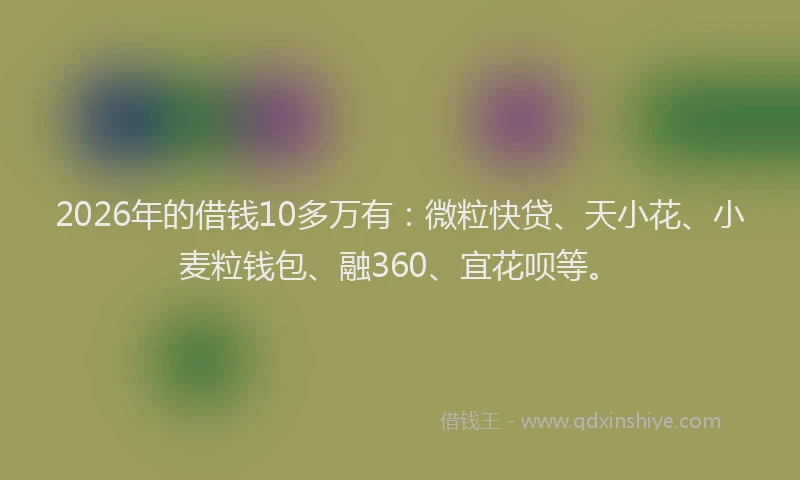 2026年的借钱10多万有:微粒快贷、天小花、小麦粒钱包、融360、宜花呗等。