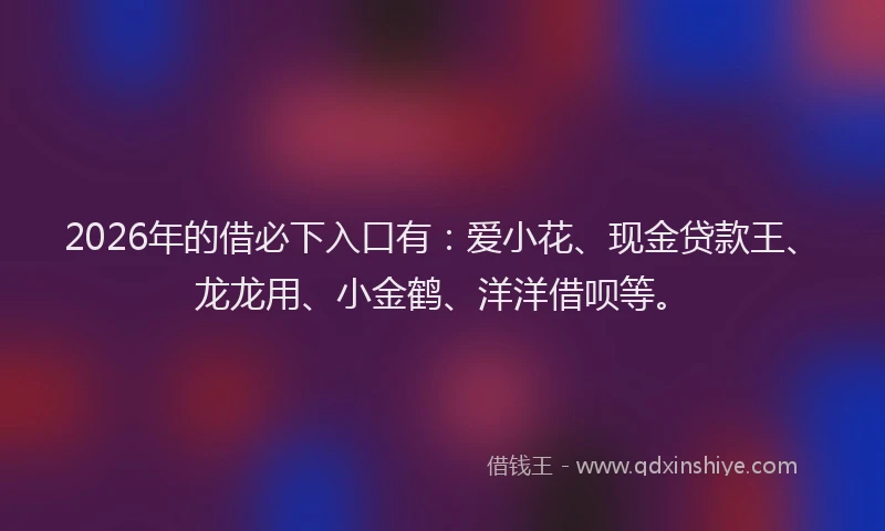 2026年的借必下入口有：爱小花、现金贷款王、龙龙用、小金鹤、洋洋借呗等。