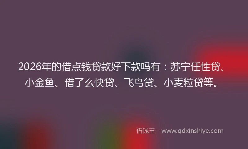 2026年的借点钱贷款好下款吗有:苏宁任性贷、小金鱼、借了么快贷、飞鸟贷、小麦粒贷等。
