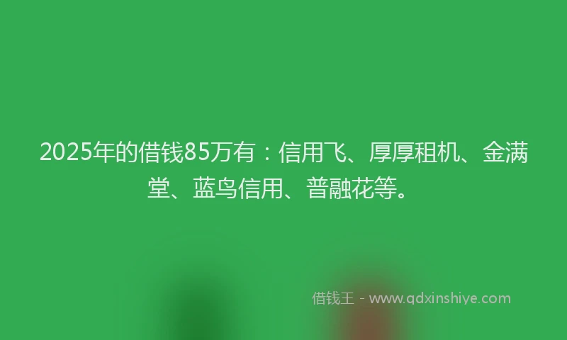 2025年的借钱85万有：信用飞、厚厚租机、金满堂、蓝鸟信用、普融花等。