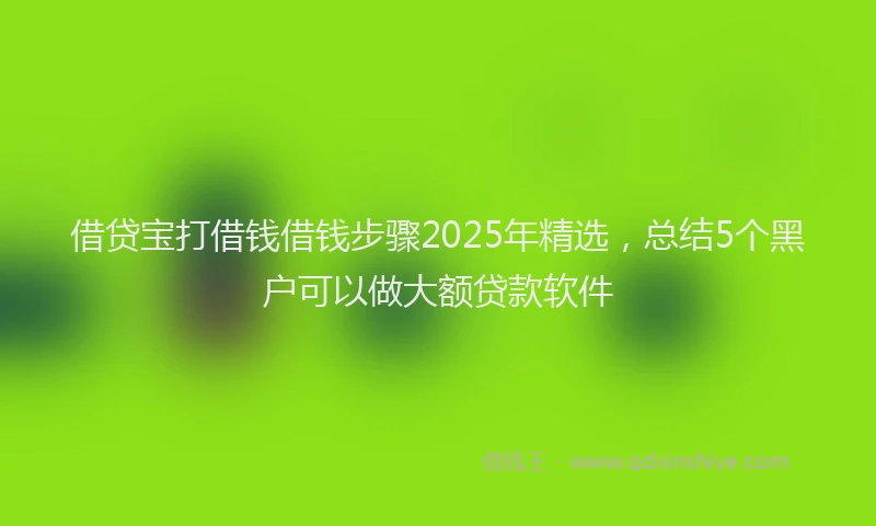 借贷宝打借钱借钱步骤2025年精选,总结5个黑户可以做大额贷款软件