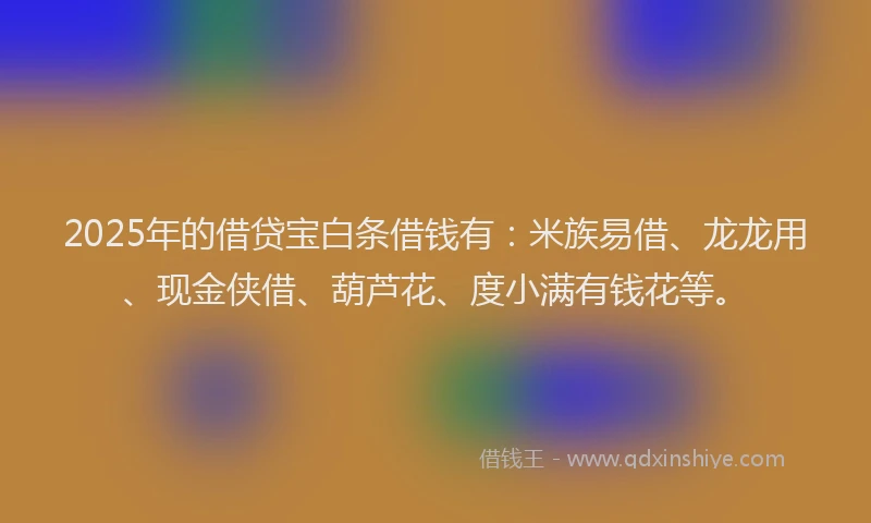 2025年的借贷宝白条借钱有：米族易借、龙龙用、现金侠借、葫芦花、度小满有钱花等。
