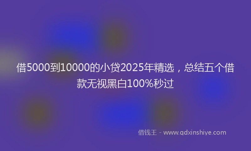借5000到10000的小贷2025年精选，总结五个借款无视黑白100%秒过