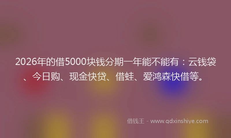 2026年的借5000块钱分期一年能不能有:云钱袋、今日购、现金快贷、借蛙、爱鸿森快借等。