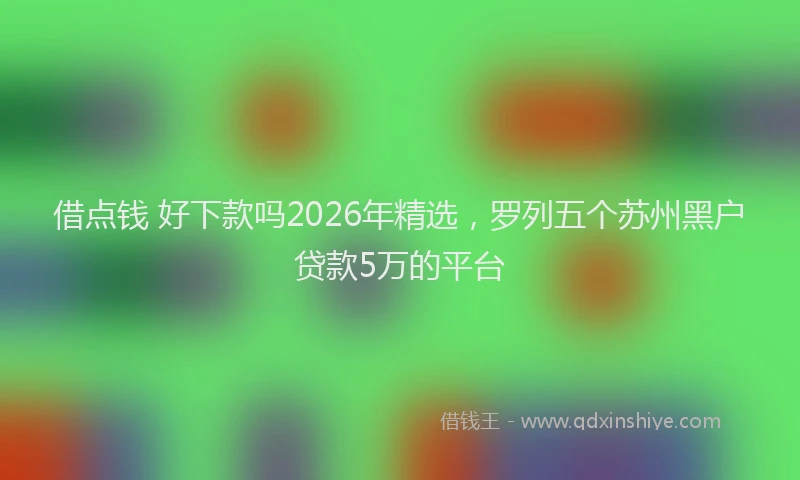 借点钱 好下款吗2026年精选,罗列五个苏州黑户贷款5万的平台