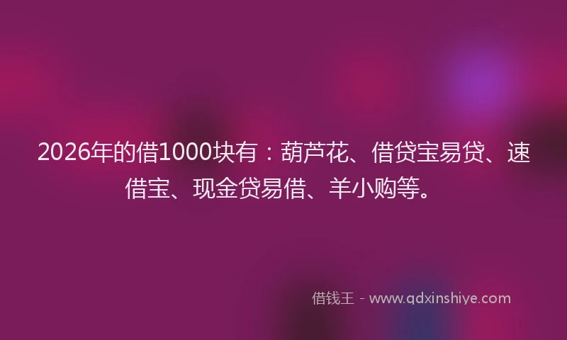 2026年的借1000块有：葫芦花、借贷宝易贷、速借宝、现金贷易借、羊小购等。