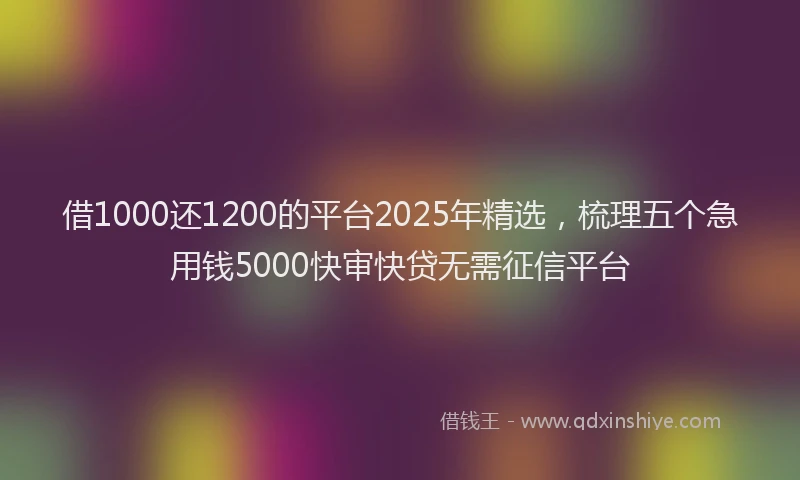 借1000还1200的平台2025年精选，梳理五个急用钱5000快审快贷无需征信平台