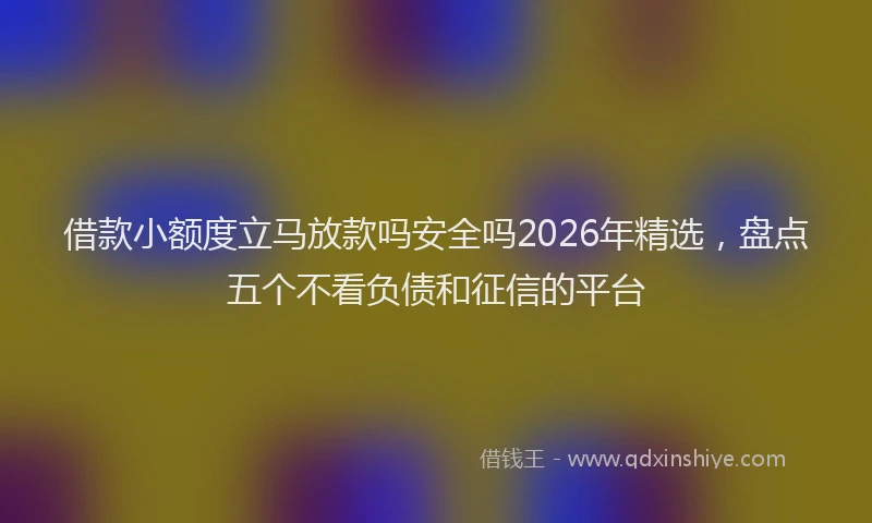 借款小额度立马放款吗安全吗2026年精选，盘点五个不看负债和征信的平台