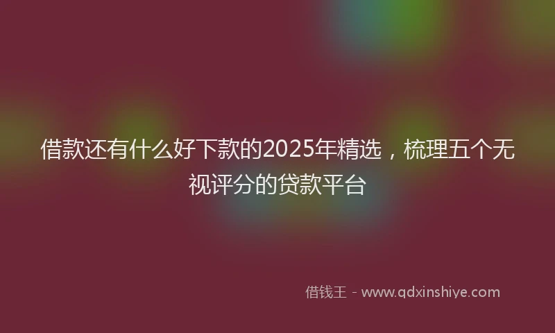 借款还有什么好下款的2025年精选，梳理五个无视评分的贷款平台
