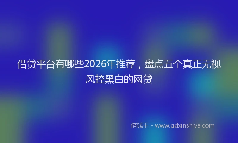 借贷平台有哪些2026年推荐,盘点五个真正无视风控黑白的网贷