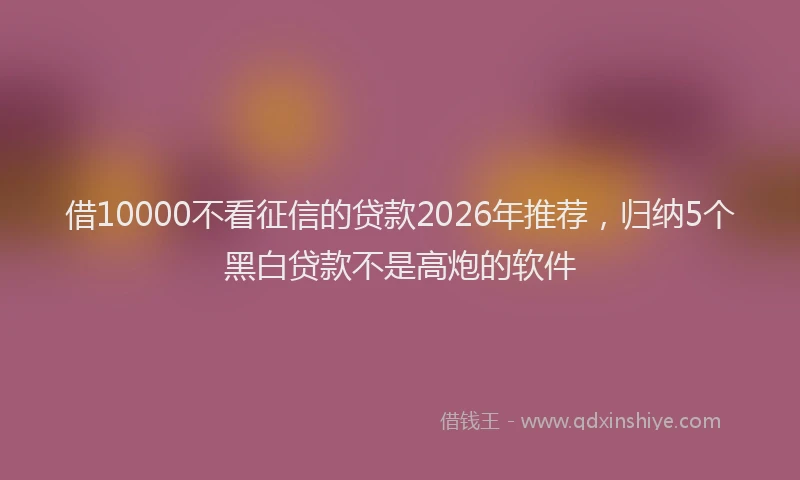借10000不看征信的贷款2026年推荐，归纳5个黑白贷款不是高炮的软件