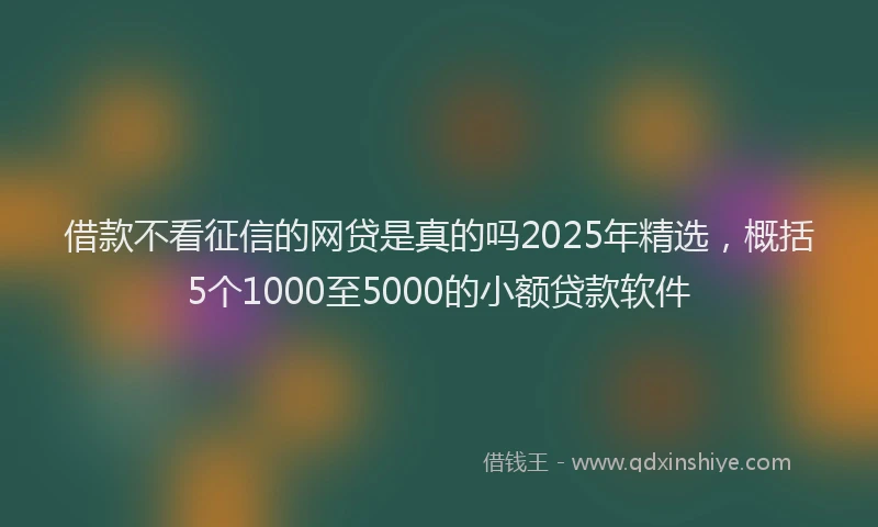 借款不看征信的网贷是真的吗2025年精选,概括5个1000至5000的小额贷款软件