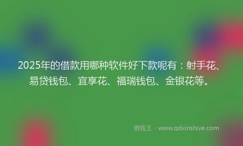 2025年的借款用哪种软件好下款呢有：射手花、易贷钱包、宜享花、福瑞钱包、金银花等。