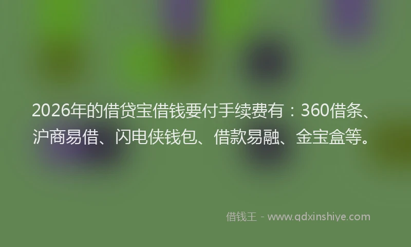 2026年的借贷宝借钱要付手续费有：360借条、沪商易借、闪电侠钱包、借款易融、金宝盒等。