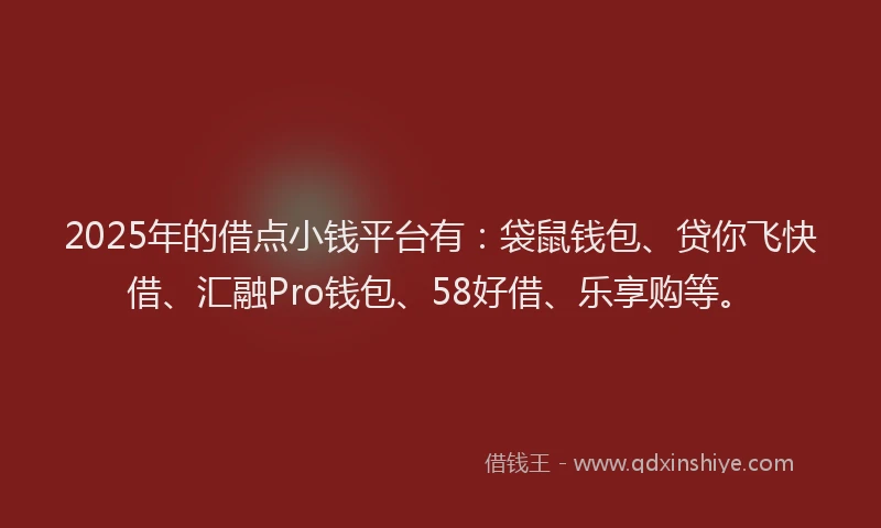 2025年的借点小钱平台有:袋鼠钱包、贷你飞快借、汇融Pro钱包、58好借、乐享购等。