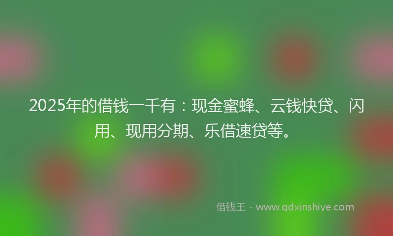 2025年的借钱一千有：现金蜜蜂、云钱快贷、闪用、现用分期、乐借速贷等。