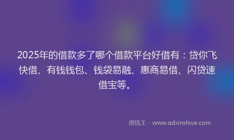 2025年的借款多了哪个借款平台好借有：贷你飞快借、有钱钱包、钱袋易融、惠商易借、闪贷速借宝等。