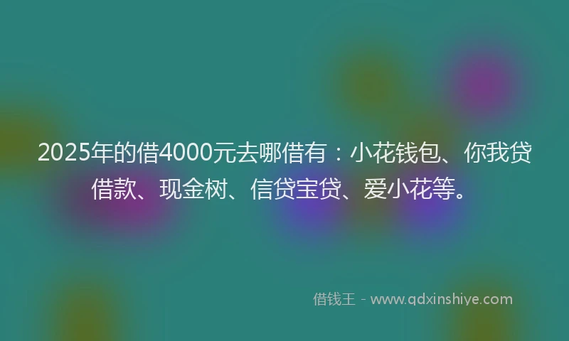 2025年的借4000元去哪借有：小花钱包、你我贷借款、现金树、信贷宝贷、爱小花等。