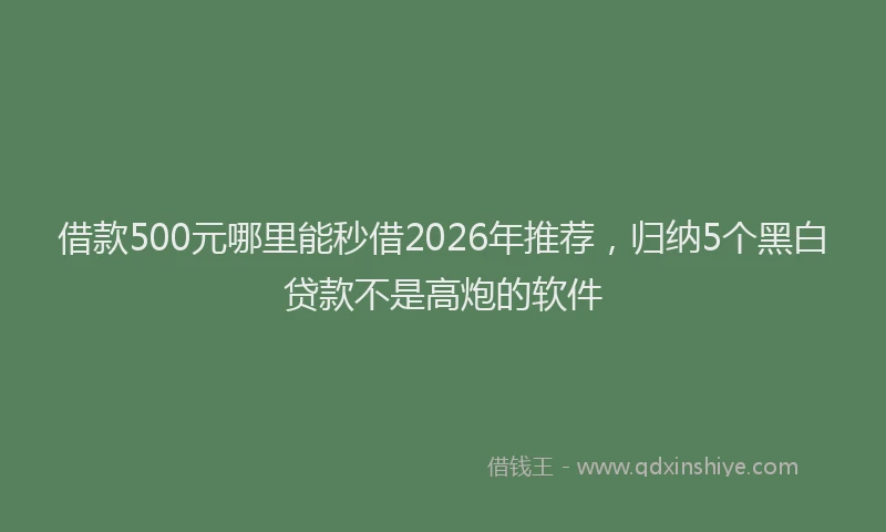 借款500元哪里能秒借2026年推荐，归纳5个黑白贷款不是高炮的软件