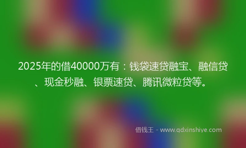 2025年的借40000万有：钱袋速贷融宝、融信贷、现金秒融、银票速贷、腾讯微粒贷等。