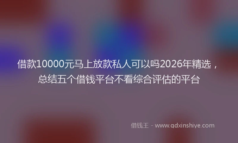 借款10000元马上放款私人可以吗2026年精选,总结五个借钱平台不看综合评估的平台
